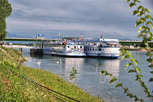 Eine Bootsfahrt auf dem Rhein bei Breisach