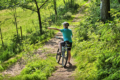 Von gemütlich bis sportlich - ein Eldorado für Radfahrer